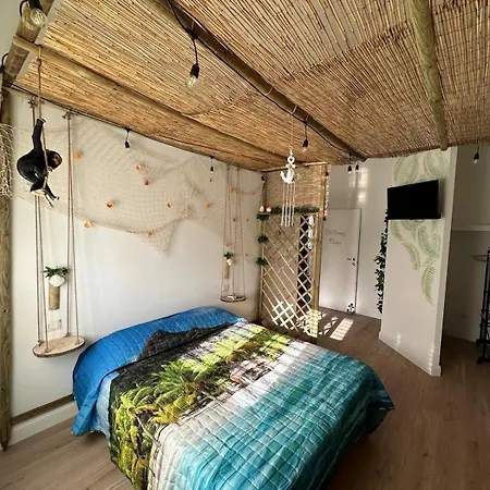 La Casa Delle Conchiglie *